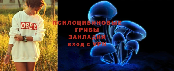 spice Армянск