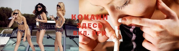 эйфоретик Арсеньев